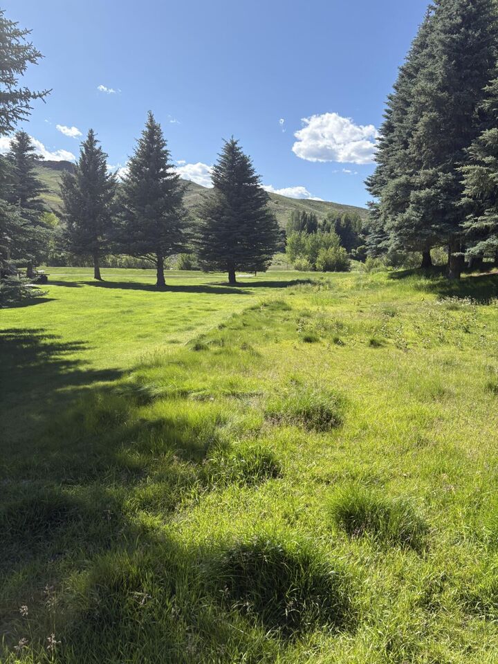 Property Photo:  232 Elkhorn Rd  ID 83353 