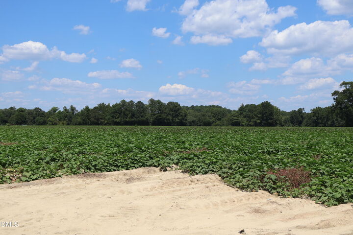 Property Photo:  1 Holly Grove Road  NC 27504 