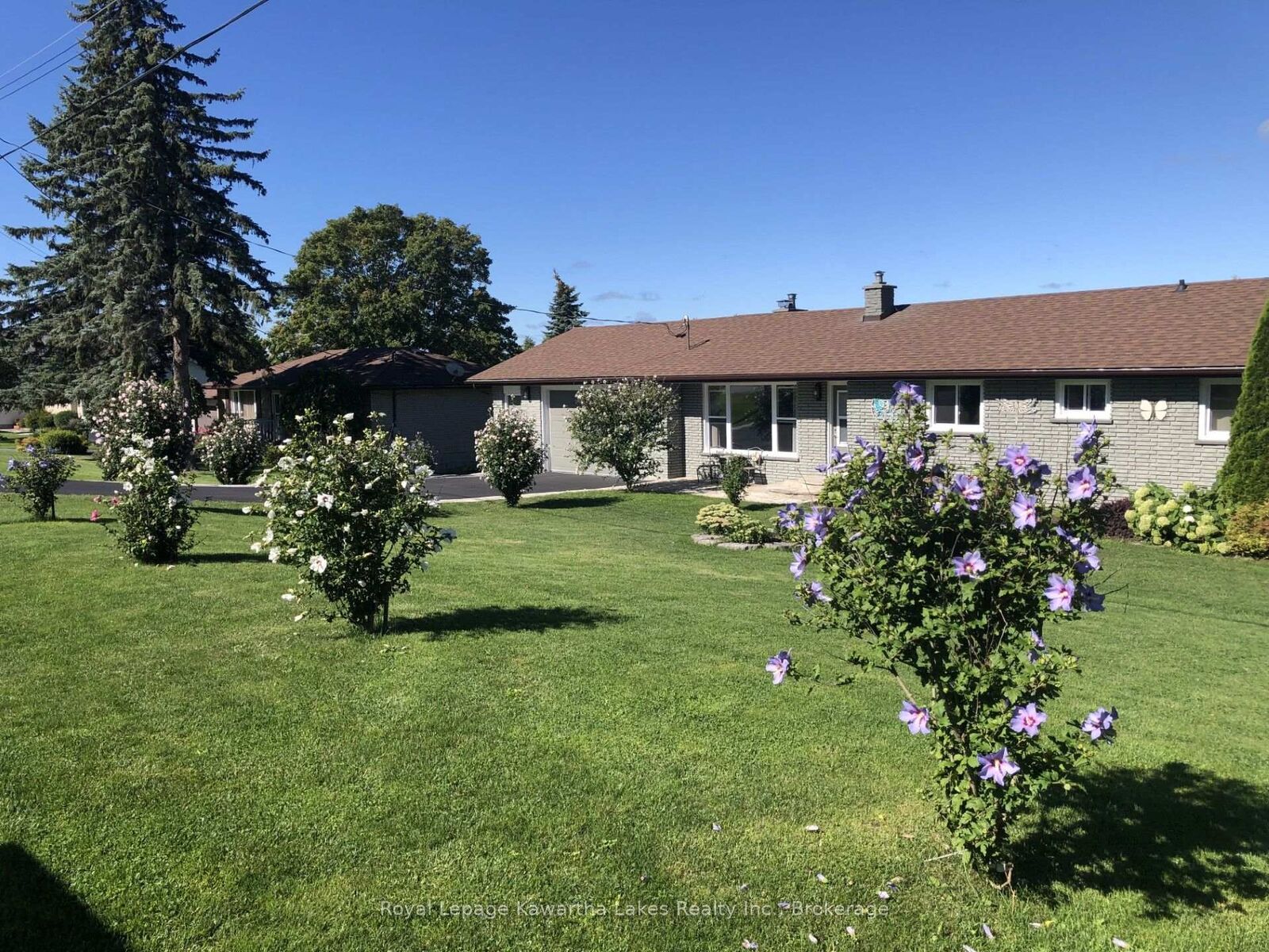 Property Photo: 9 Buckhorn Road ON K9V 4R6