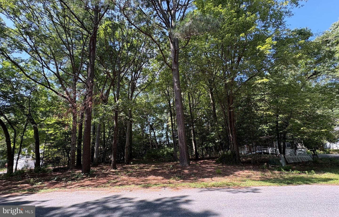 Property Photo:  0 Shady Dell Park  DE 19970 