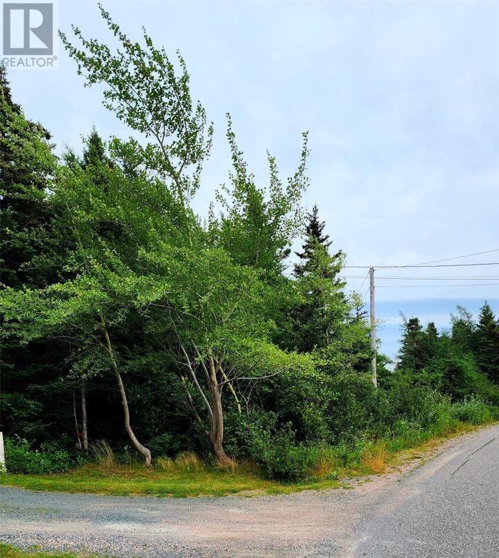 Property Photo:  28 Duffs Road  NL A0A 2R0 