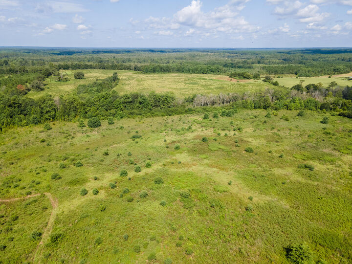 Property Photo: Lot 2 Campbell Road FL 32435
