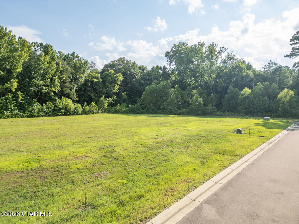 Property Photo: 205 Huxley Drive MS 39759