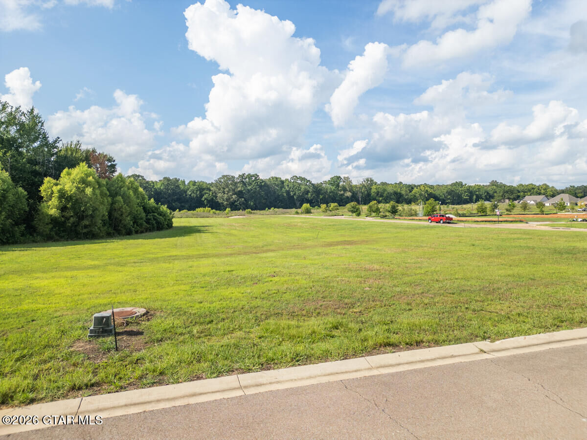 Property Photo:  208 Huxley Drive  MS 39759 
