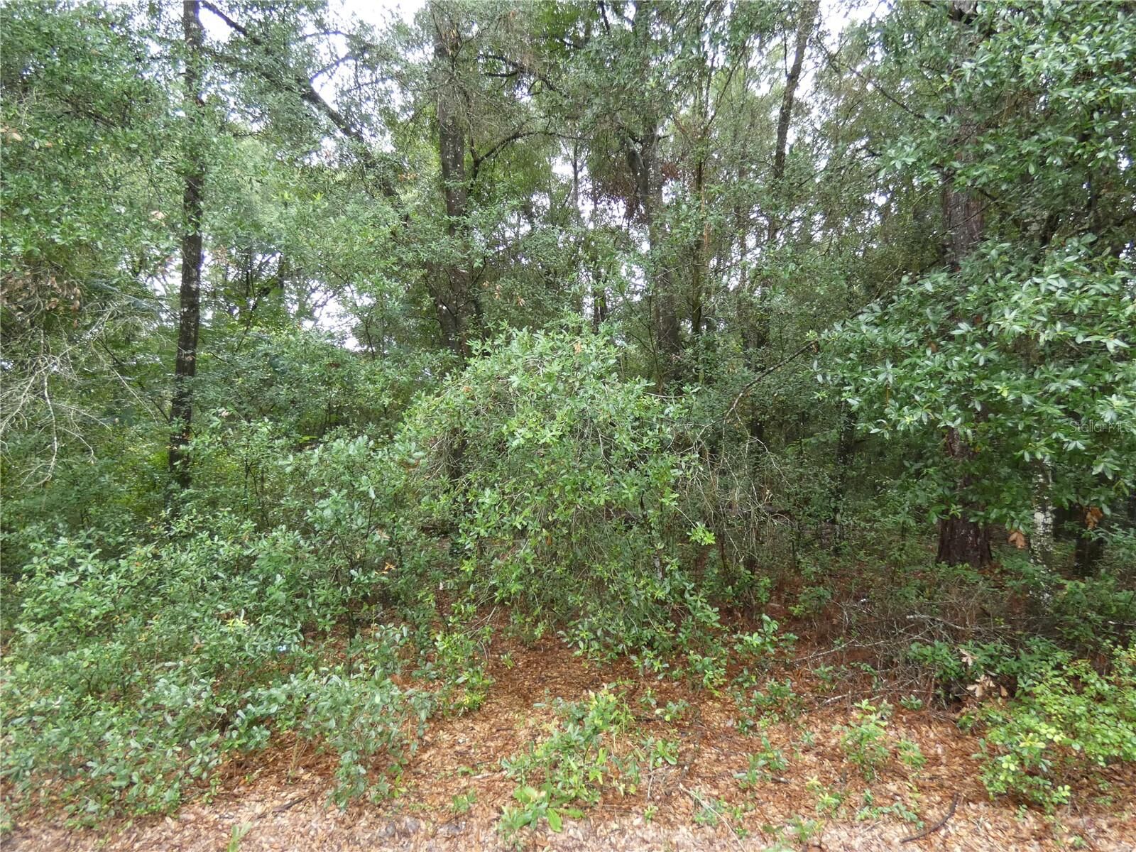 Property Photo: Tbd SW 151 St Pl FL 34432