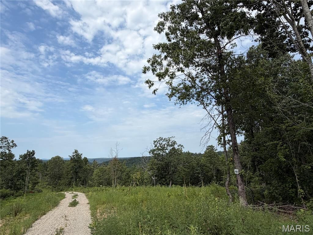 Property Photo:  #401 Madison 410  MO 63645 