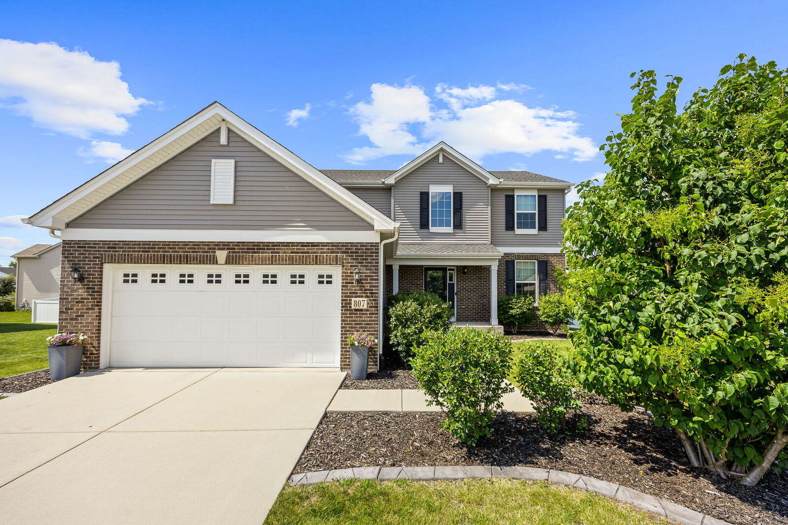Property Photo: 807 High Grove Drive IL 60447