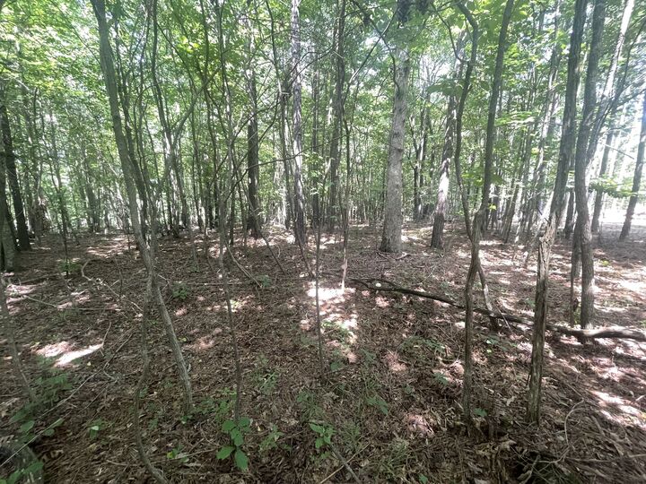 Property Photo:  0 Tall Woods Ln  TN 38585 