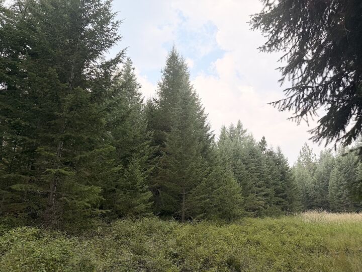 Property Photo: 47466 Harmony Lane MT 59929