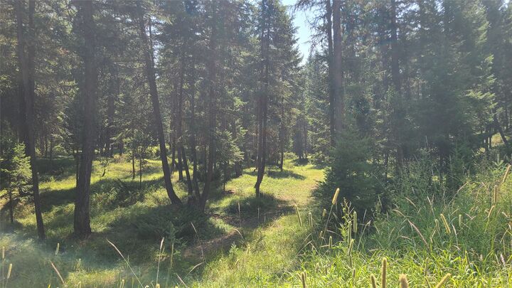 Property Photo:  128 Whitefish Forest Loop  MT 59937 