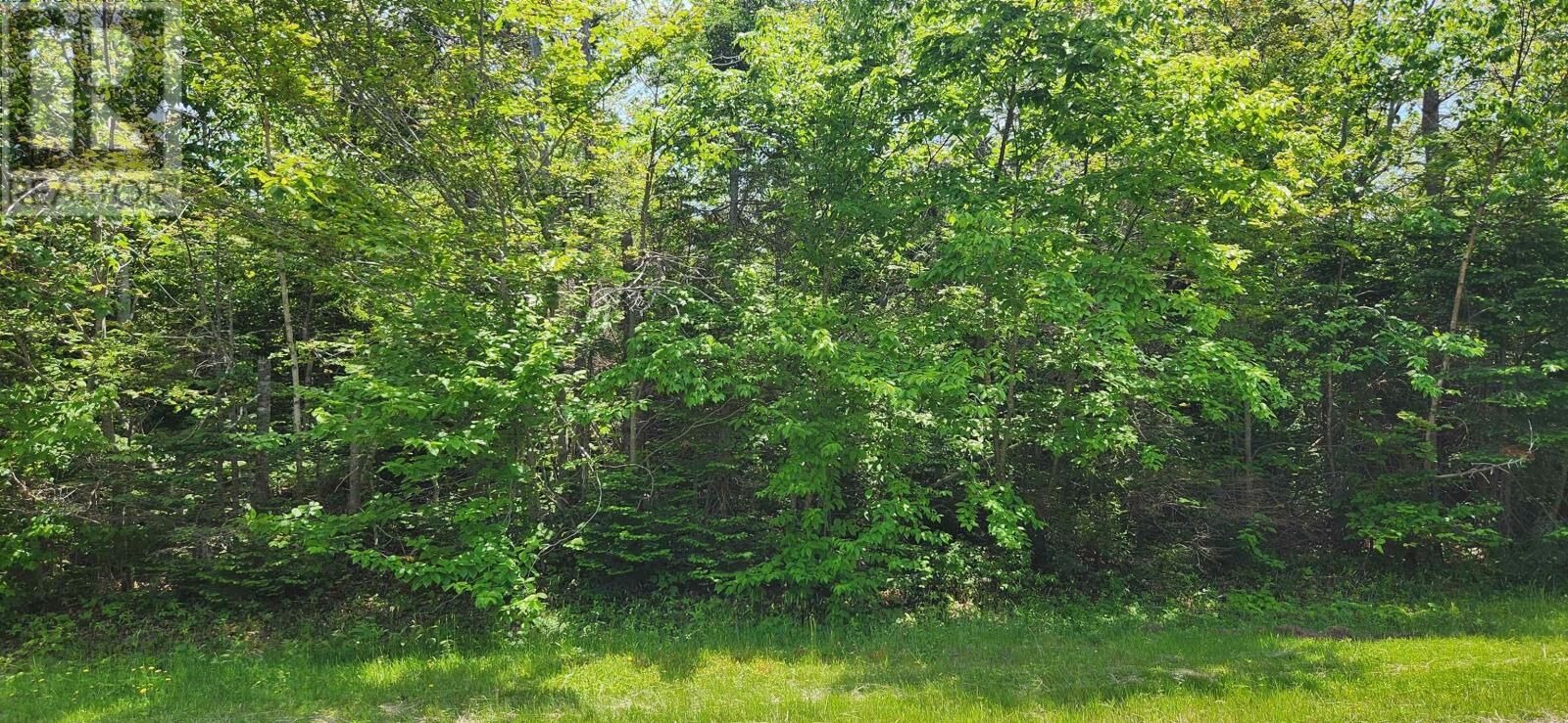 Property Photo: Acreage Greys Road Road PE C0A 1R0