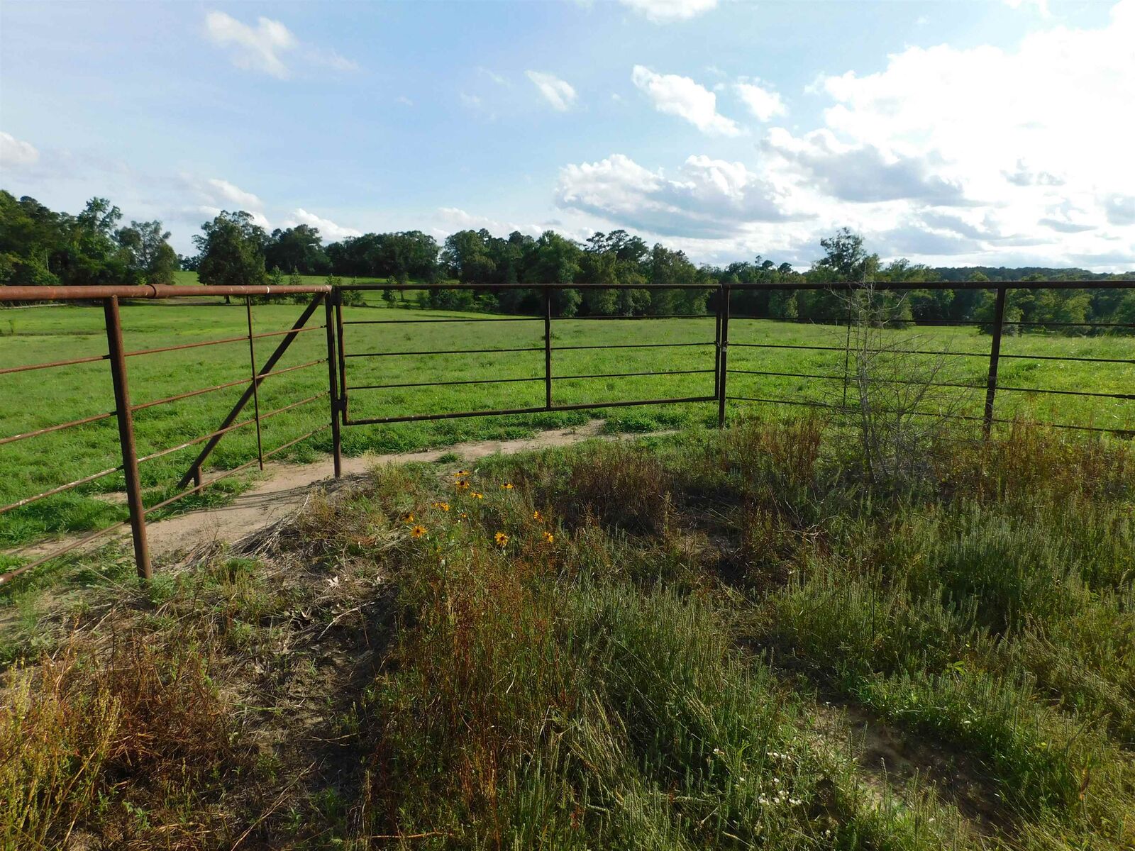 Property Photo: Tbd Groundhog Rd TX 75647
