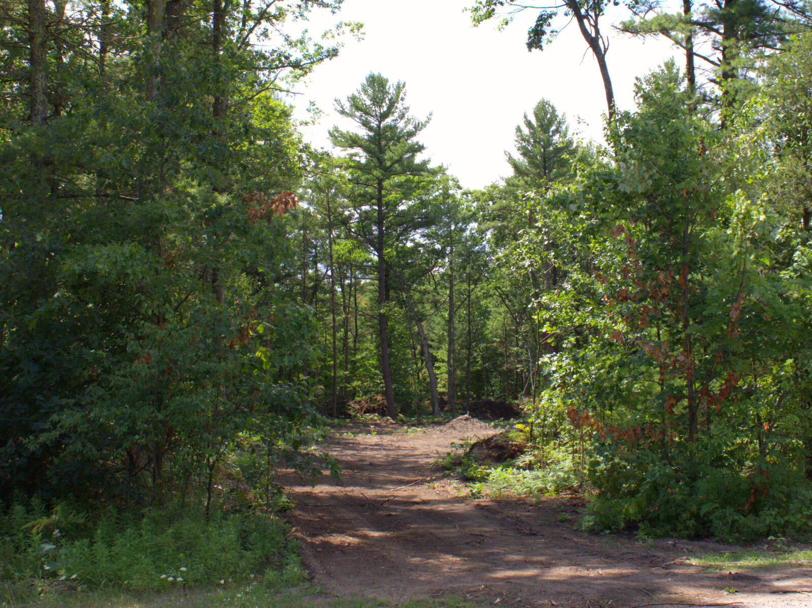 Property Photo: Vl Danc Drive MI 49457