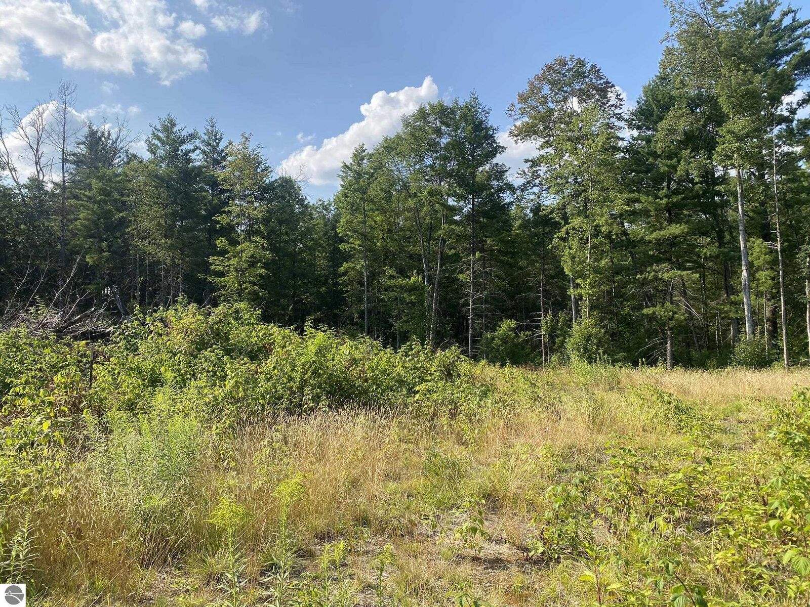 Property Photo: 00 S Emma Avenue MI 49304