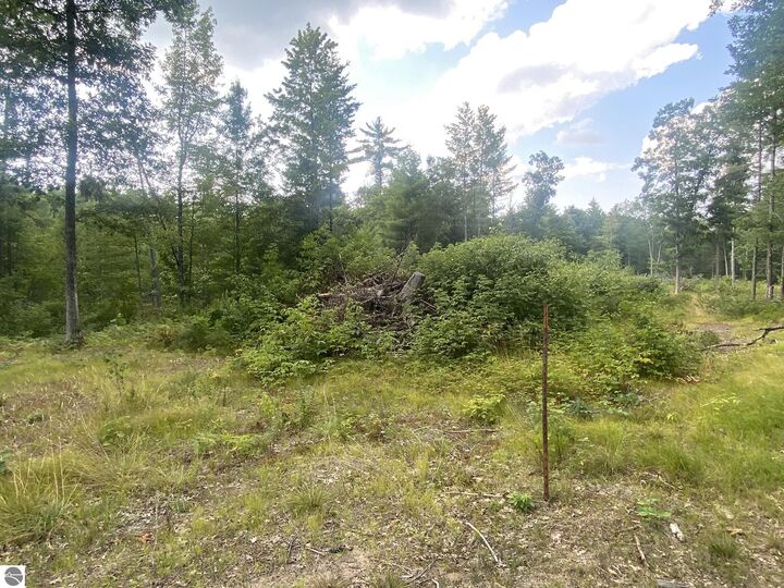 Property Photo:  00 S Emma Avenue  MI 49304 
