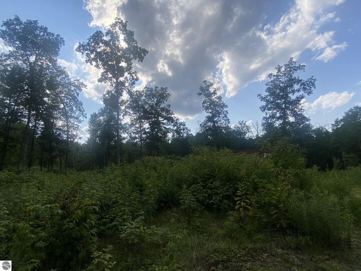 Property Photo:  00 S Emma Avenue  MI 49304 