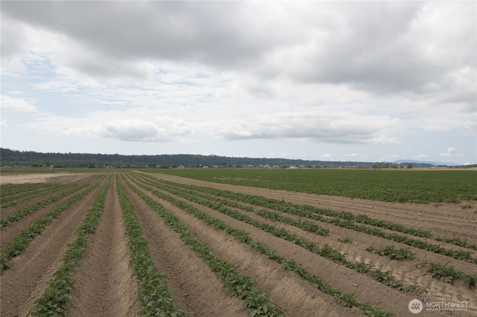Property Photo: 0 Downey Road WA 98273