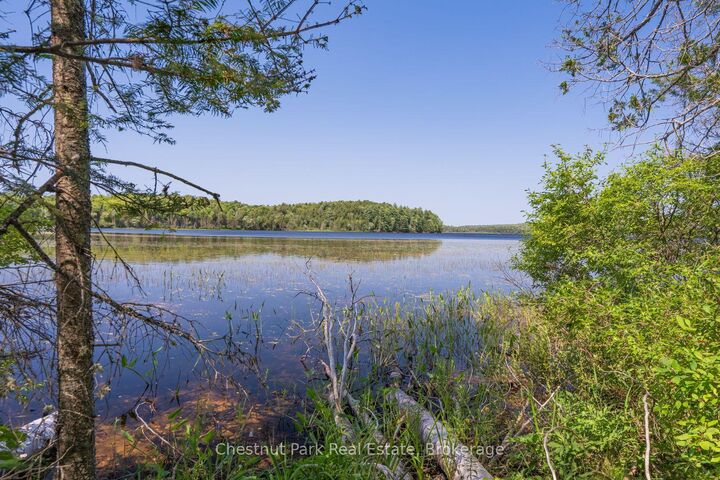 Property Photo:  Parts 5,6,7 Pool Lake Con 2 Pt Lot 19 Rp 42R181158- N/A  ON P0A 1Z0 