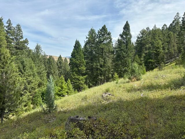Property Photo: 00 Londonderry Lode Mining Claim MT 59837