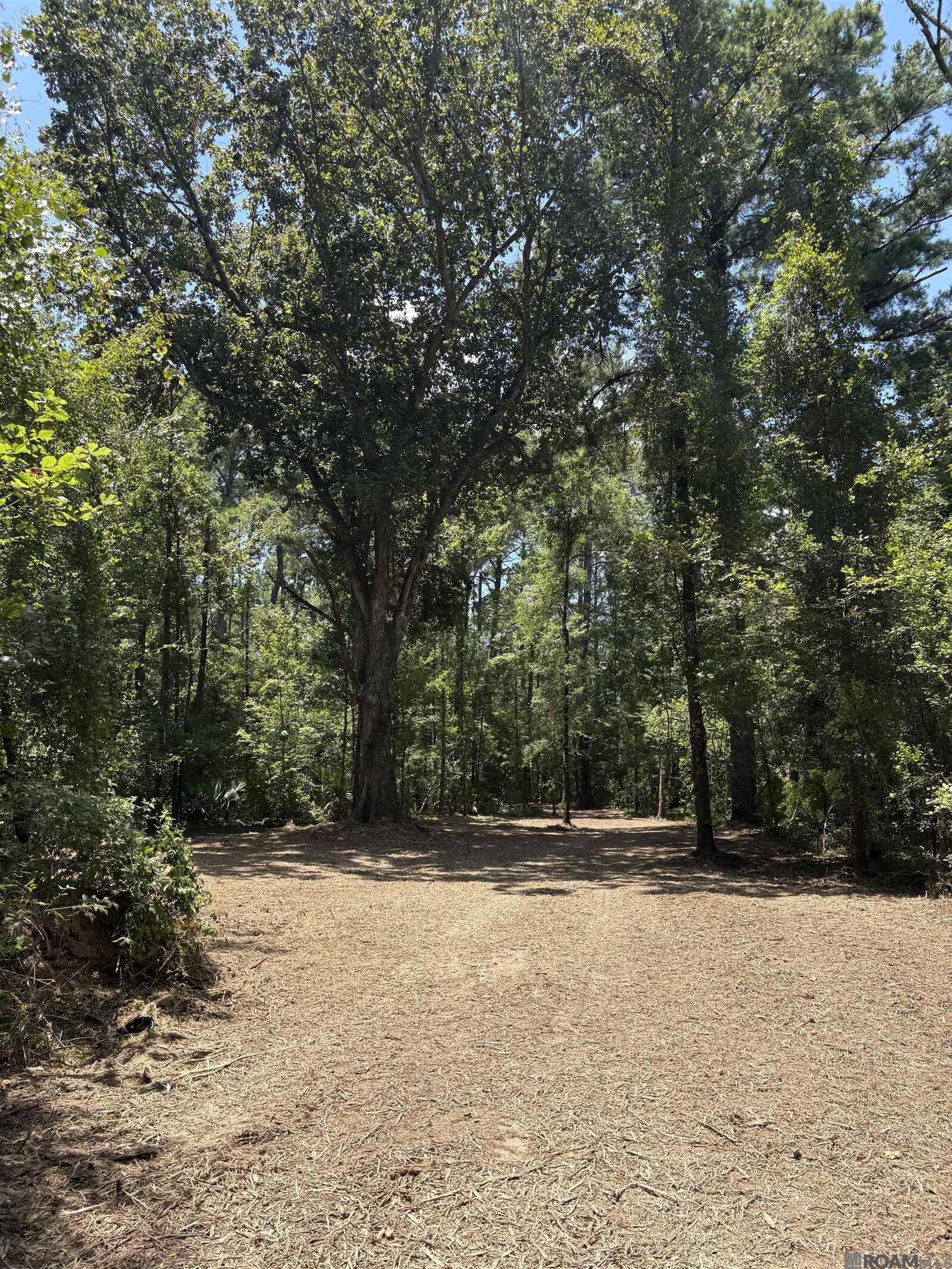 Property Photo:  38270 Walker North Rd  LA 70785 