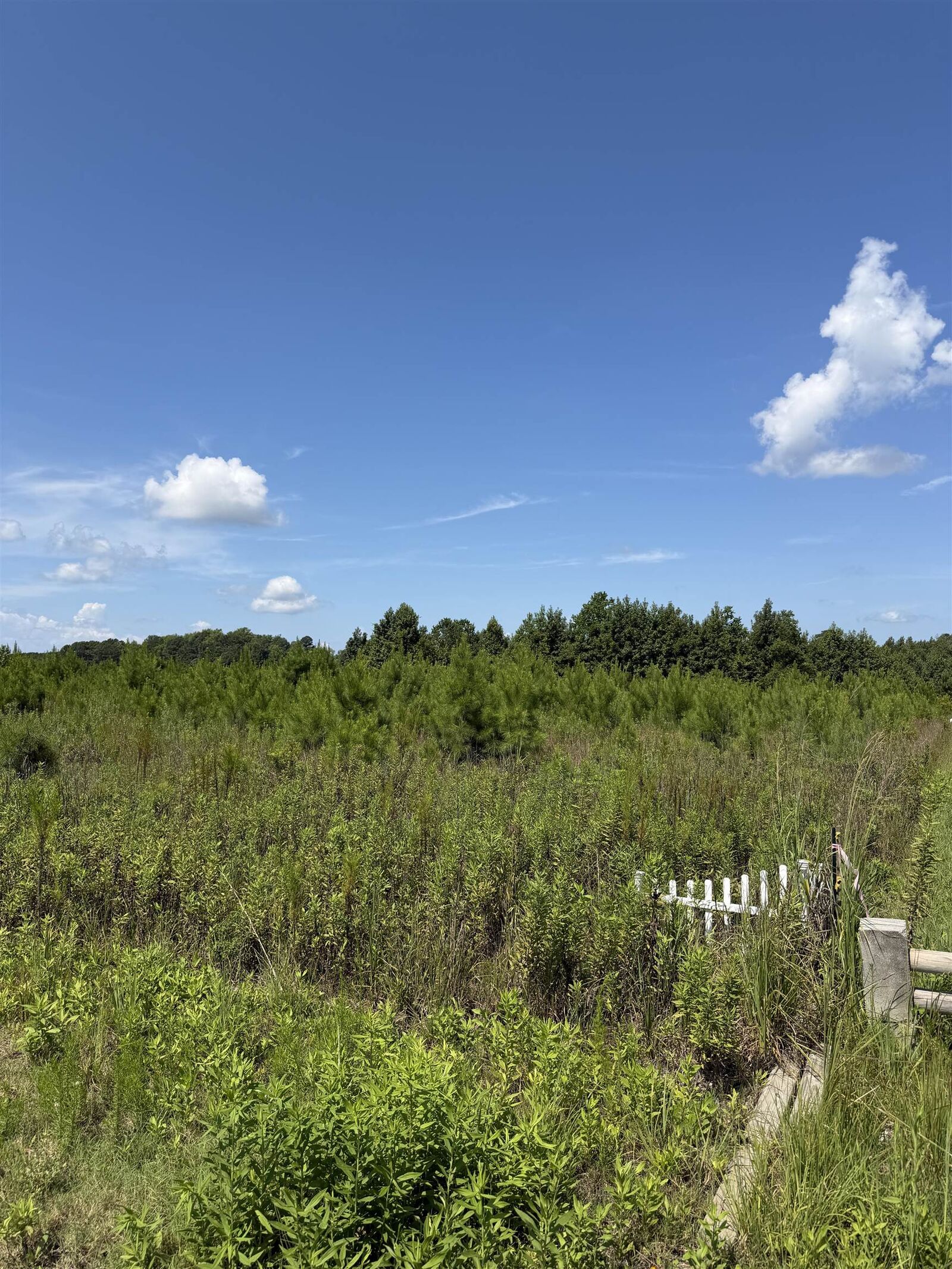 Property Photo:  175 Dove Rd.  SC 29569 