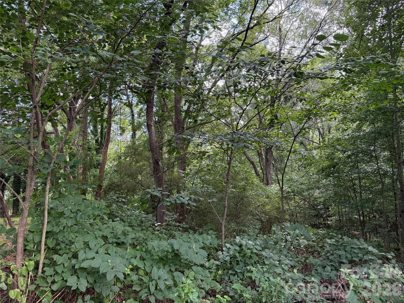 Property Photo: 00 Joe Ross Street NC 28092