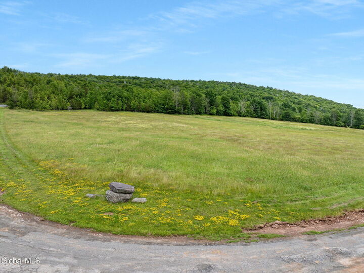 Property Photo: L10 Overlook Drive NY 12452