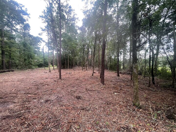 Property Photo:  Tbd Bar N Road  TX 77351 