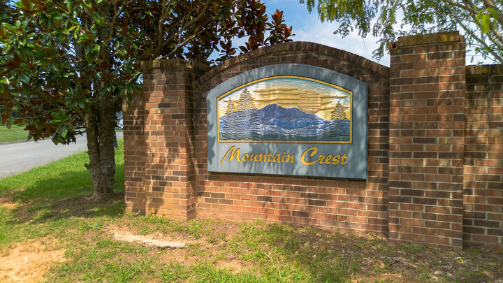 Property Photo: Lot 20 Meadowcrest Lane TN 37725