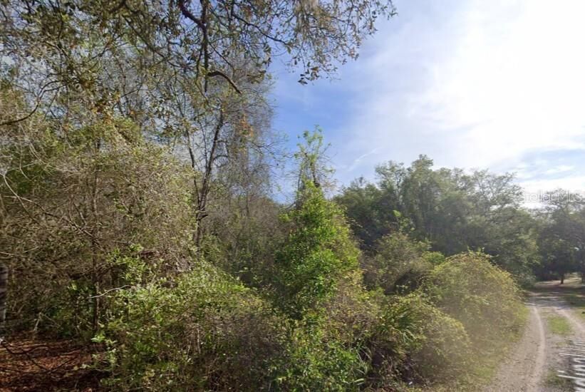 Property Photo: 0 NE 437th Ave FL 32680