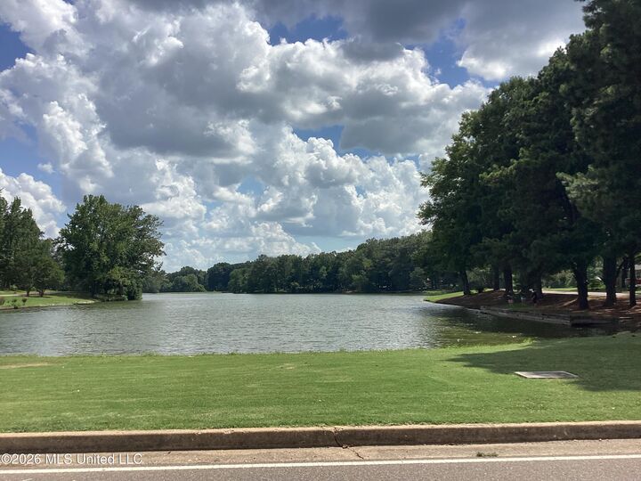 Property Photo: 6850 Hickory Crest Drive MS 38680