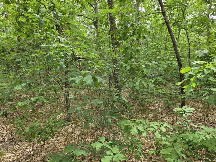 Property Photo: V/L 10-13 W Oliver Road MI 49304