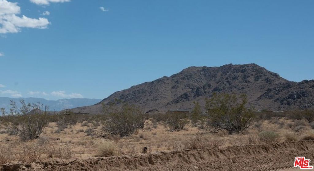 Property Photo:  1 Desert Flower  CA 92301 