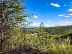 Property Photo:  0 Owl Hollow Road SW  TN 37353 