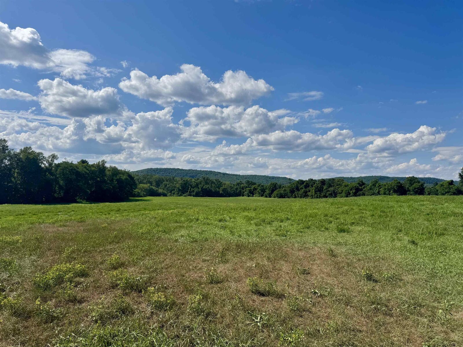 Property Photo:  0 Slight Hill Road  NH 03765 