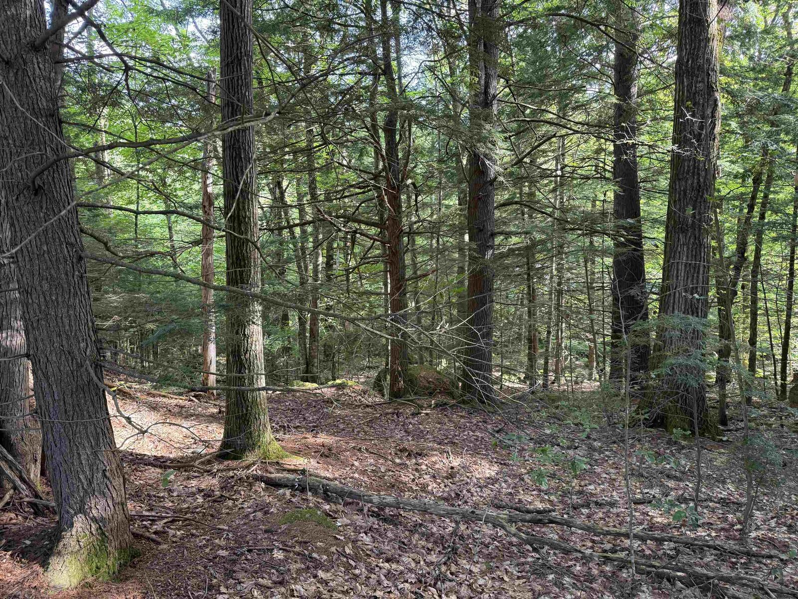 Property Photo: 14-189 Seminole Road NH 03244