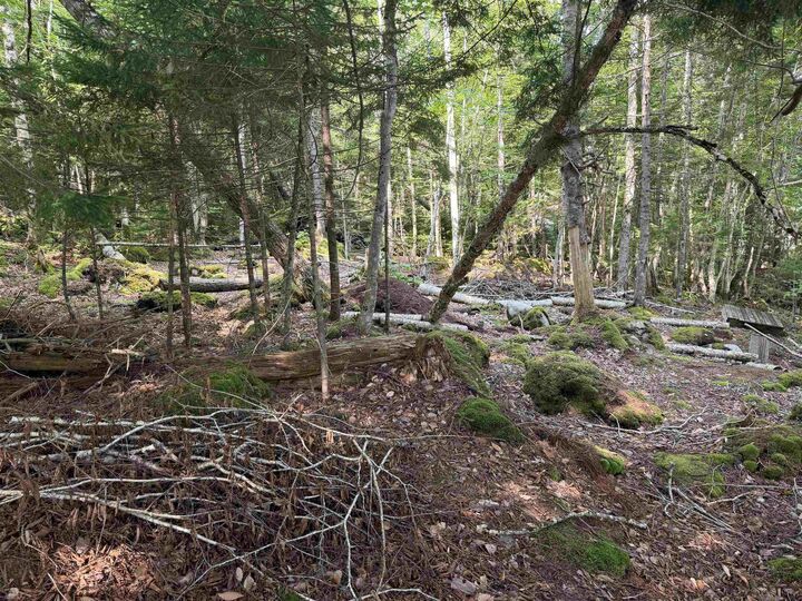Property Photo:  Cottage/Rv Lot Highway 357 Highway  NS B0J 2L0 