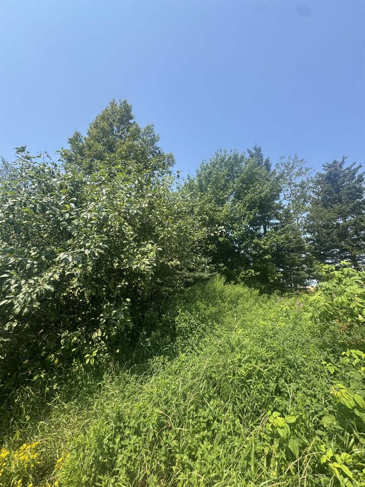 Property Photo: Byrnes Road Lot PE C0A 1T0