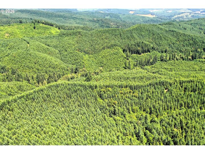 Property Photo:  High Pass Rd  OR 97448 