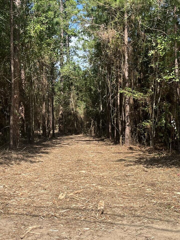 Property Photo:  00 U.s. Highway 319 North (7.8 Acres)  GA 31757 