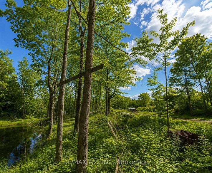 Property Photo:  1091A Crystal Lake Road  ON K0M 3A0 