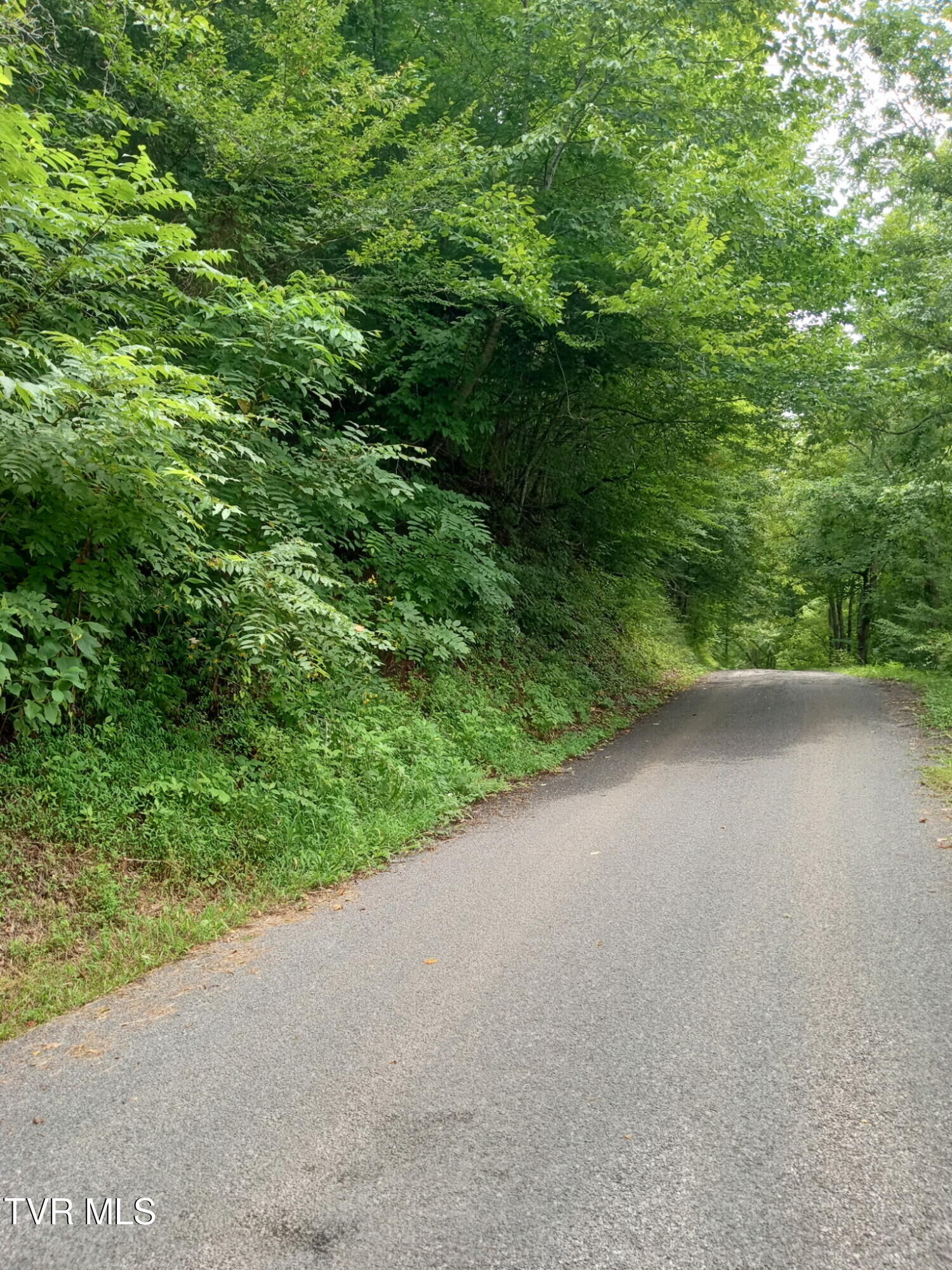 Property Photo:  520 Byrd Creek Road  TN 37869 