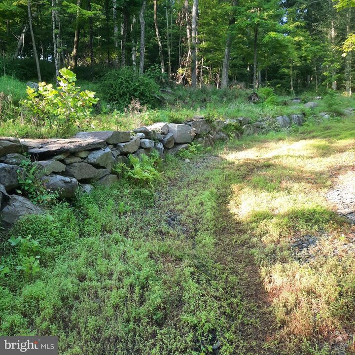 Property Photo: 5968 State Park Road PA 18947