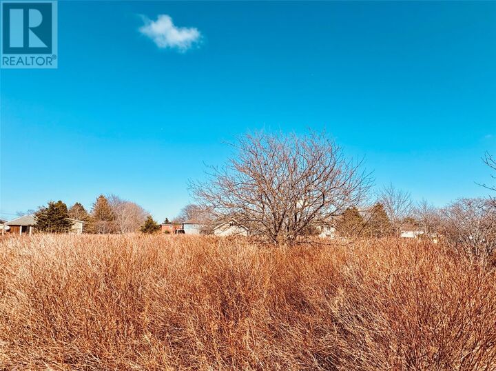 Property Photo:  51A Whites Road  NL A0A 0H2 
