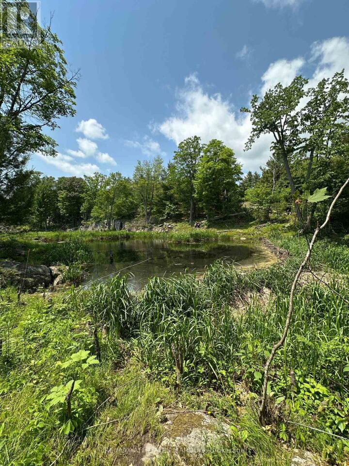 Property Photo:  938 Crow Lake Road  ON K0H 2B0 