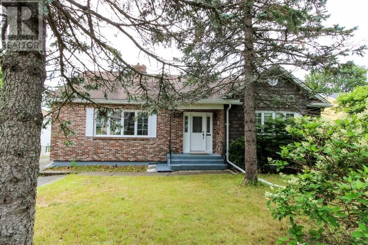 Property Photo:  137 Elizabeth Avenue  NL A1B 1S2 