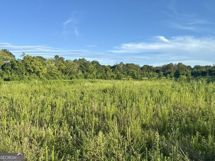 Property Photo:  0 Hwy 62  GA 39823 