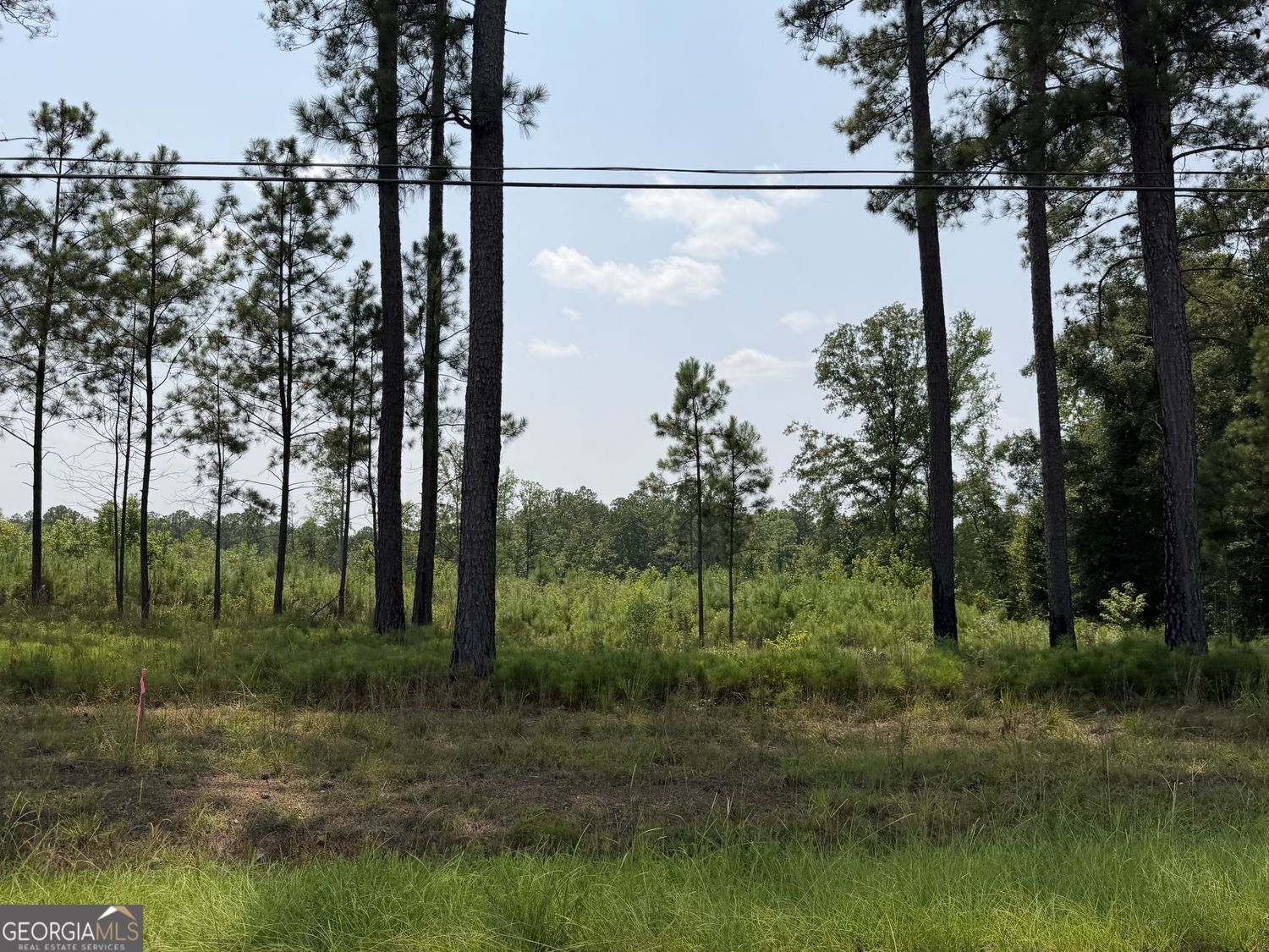 Property Photo: 690 Giles Road GA 31029