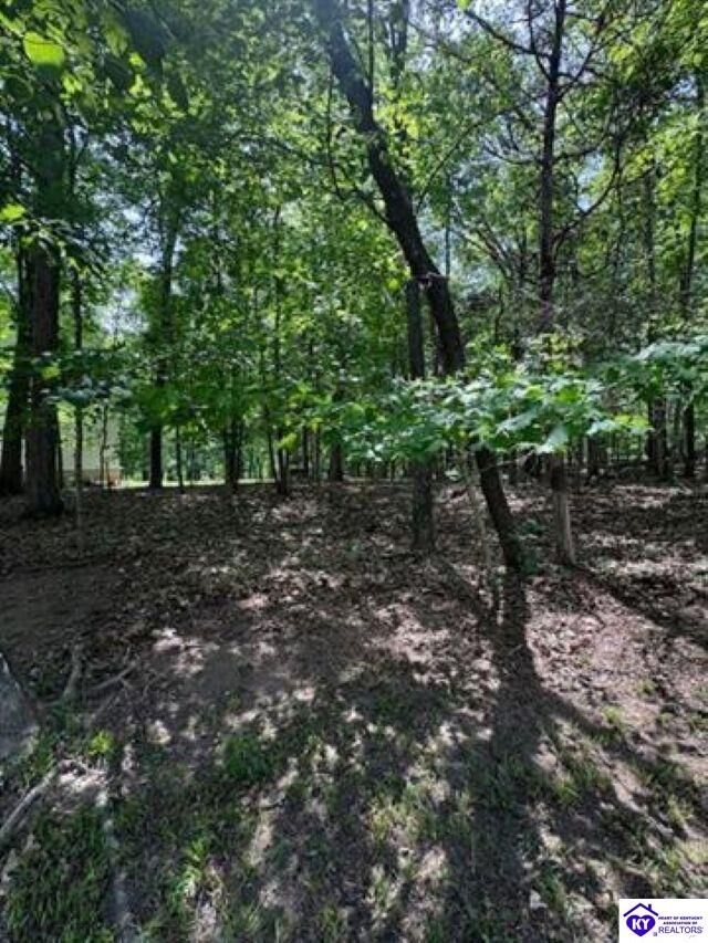 Property Photo:  Lot 49 Bluebird Road  KY 40108 