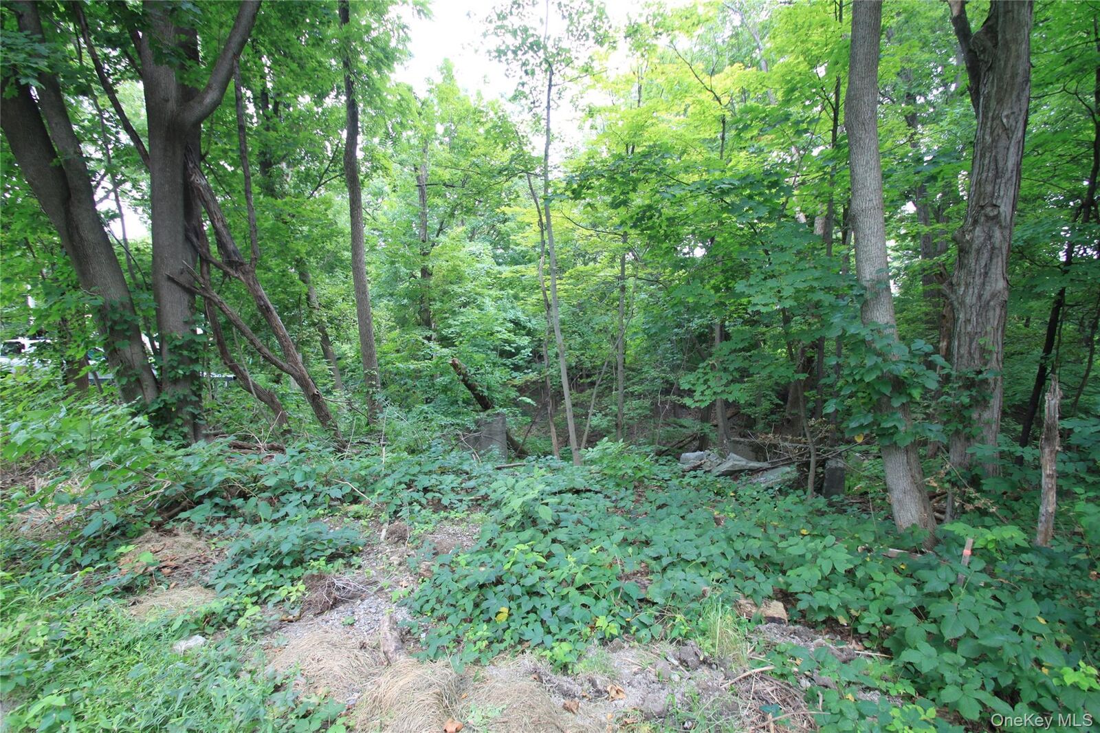 Property Photo: 31-33 Spring Street NY 12534